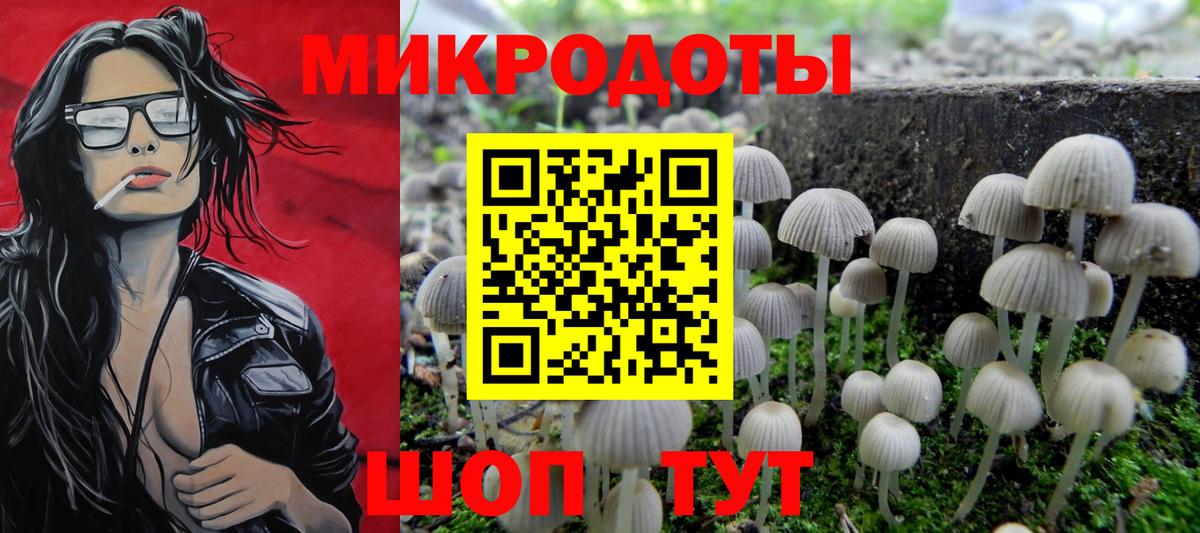 Галлюциногенные грибы Psilocybe Феодосия